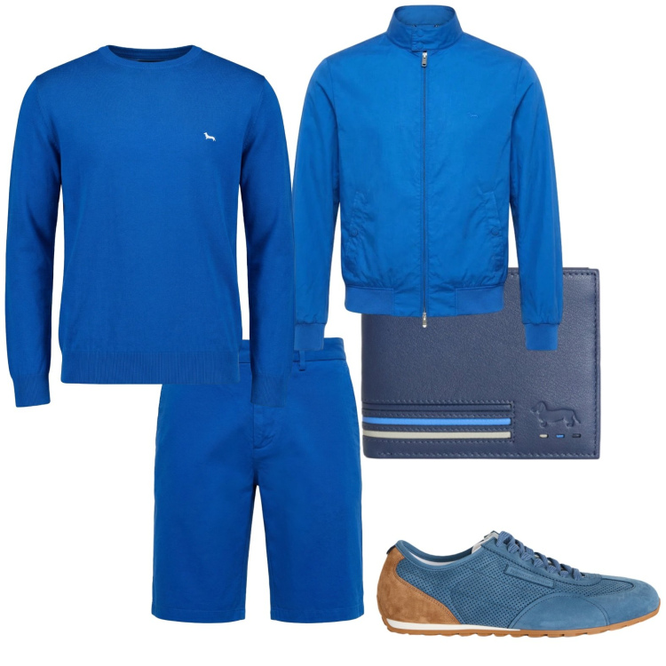 Outfit uomo - Total look #2442257. Stile Trendy per Tutti i giorni. Abbinamento con portafogli, pullovers, bermuda, sneakers, bomber.