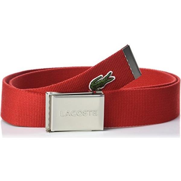 cinture Lacoste rosso