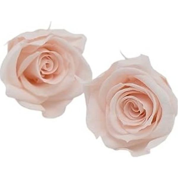 blush Juli viola a fiori