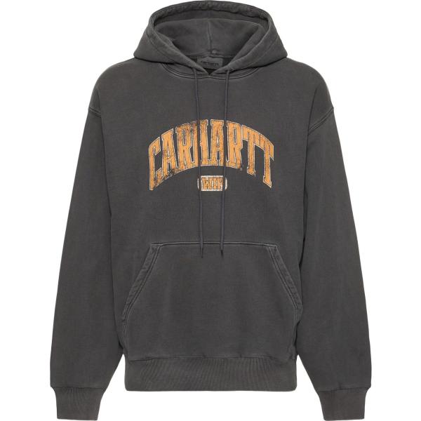 felpe con cappuccio Carhartt Wip grigio
