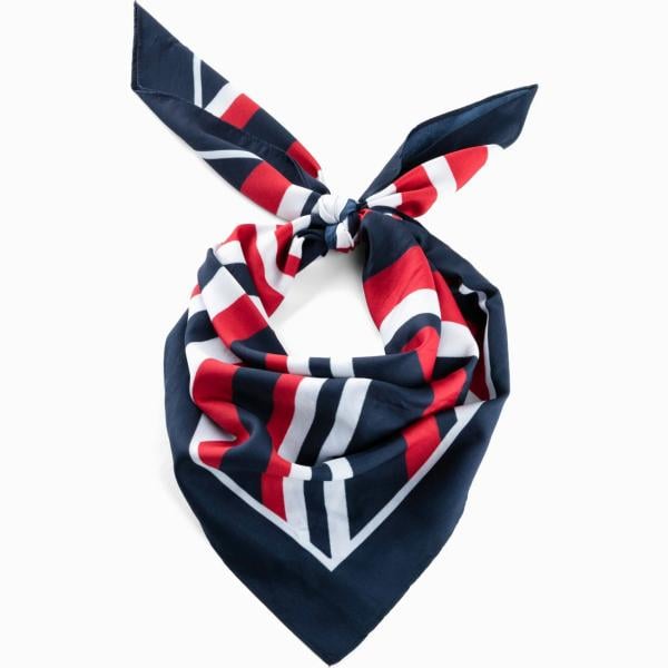 foulard Bpc bonprix collection blu a righe