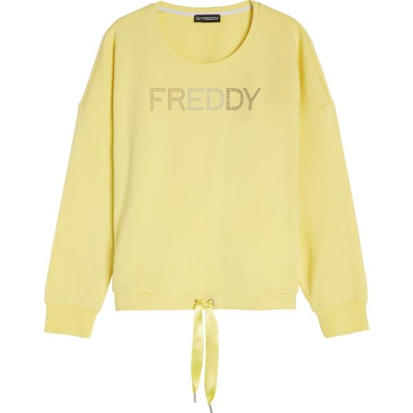 felpe Freddy