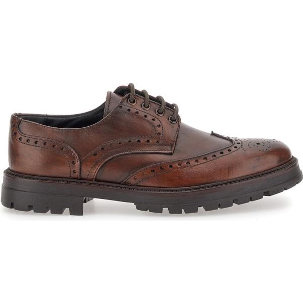 scarpe stringate Pittarello Focus marrone