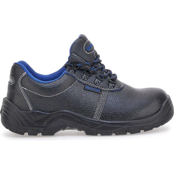 scarpe sportive Blue Star grigio