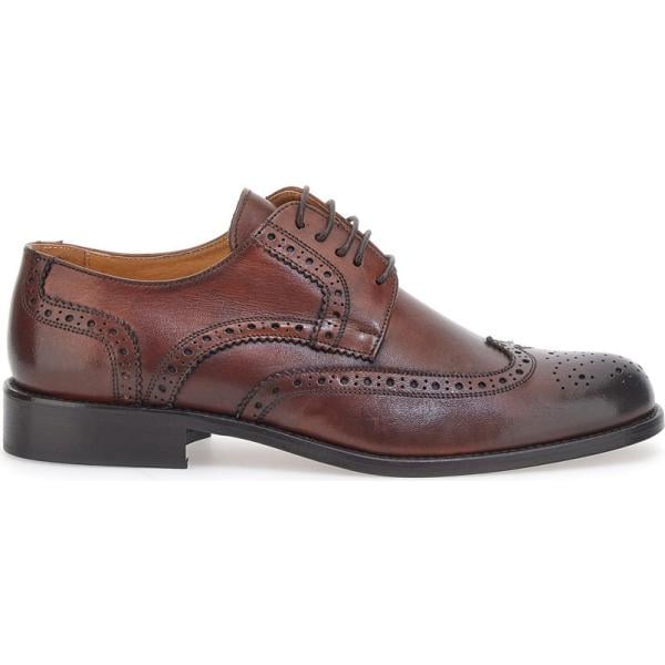 scarpe stringate Pittarello Plus marrone