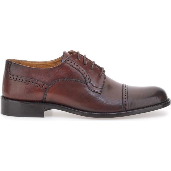 scarpe stringate Pittarello Plus marrone