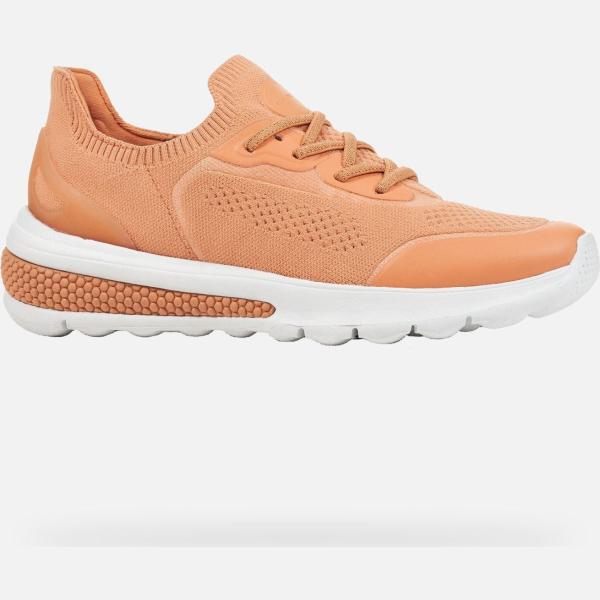 sneakers Geox marrone