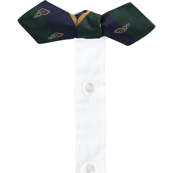 papillon Polo Ralph Lauren multicolore a righe