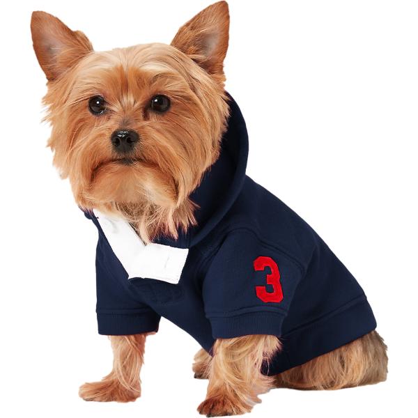 felpe con cappuccio Polo Ralph Lauren Home multicolore