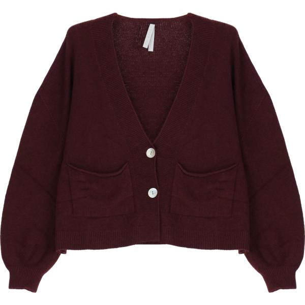 cardigans Imperial marrone