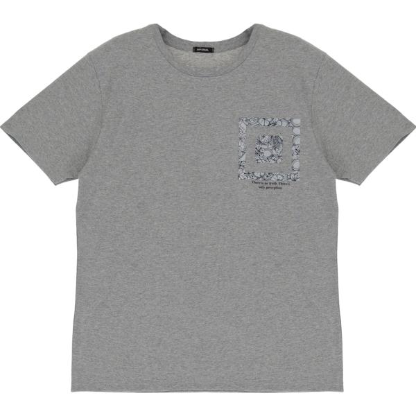 t-shirt Imperial grigio con stampe