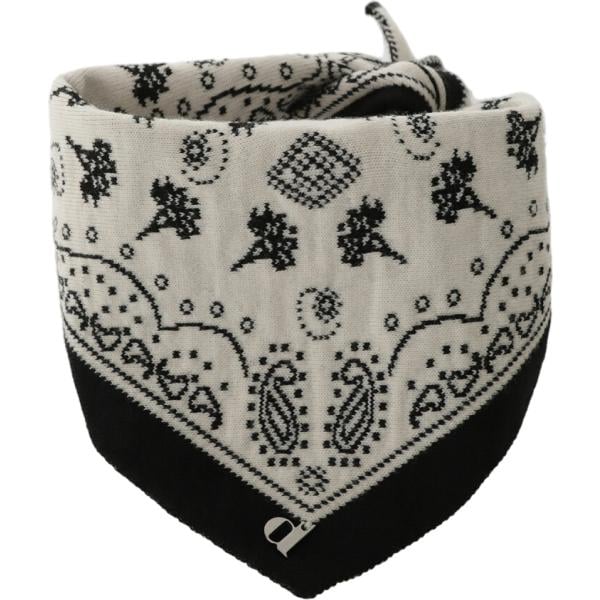 foulard Dixie multicolore paisley