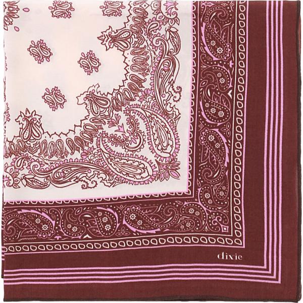 foulard Dixie multicolore paisley