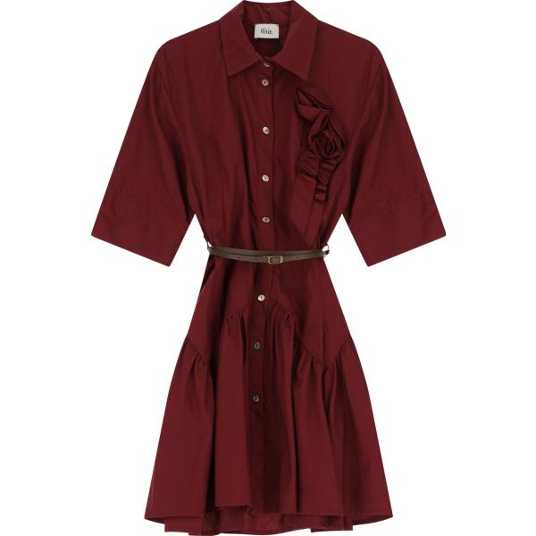 vestiti corti Dixie marrone