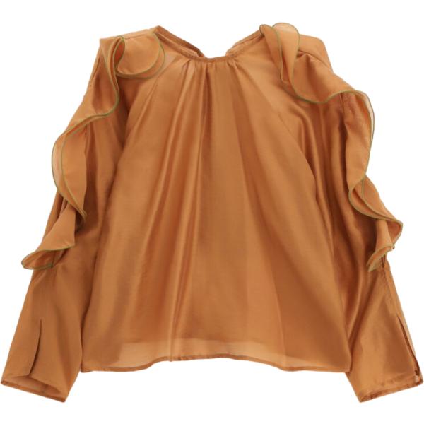 camicie Dixie marrone