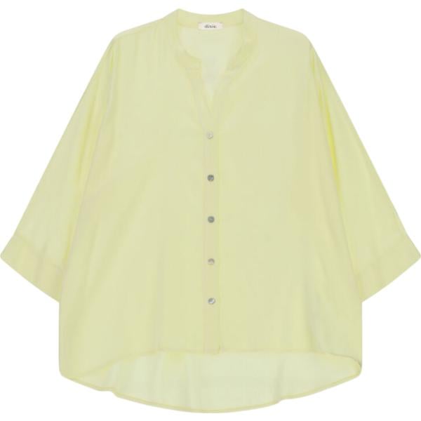 camicie Dixie marrone