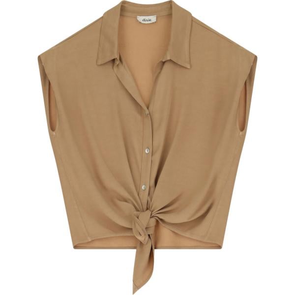 camicie Dixie marrone