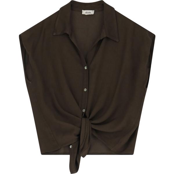 camicie Dixie marrone