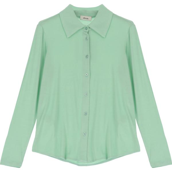 camicie Dixie verde