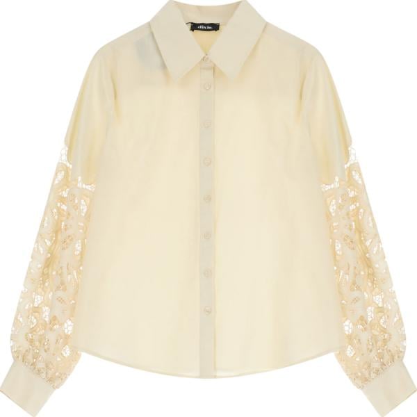 camicie Dixie marrone