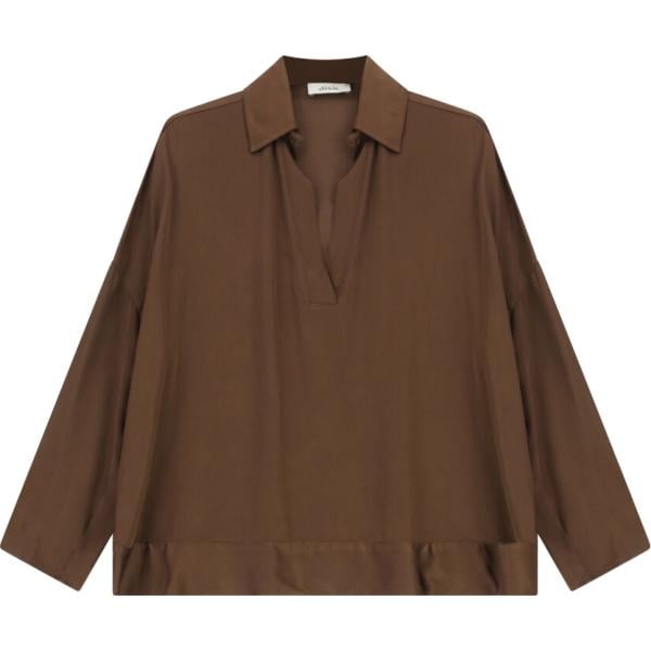 camicie Dixie marrone