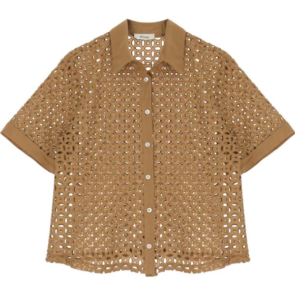 camicie a manica corta Dixie marrone