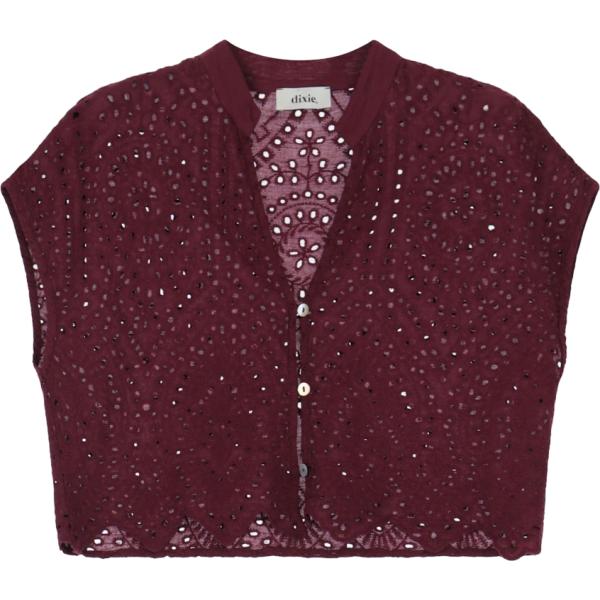 camicie Dixie marrone