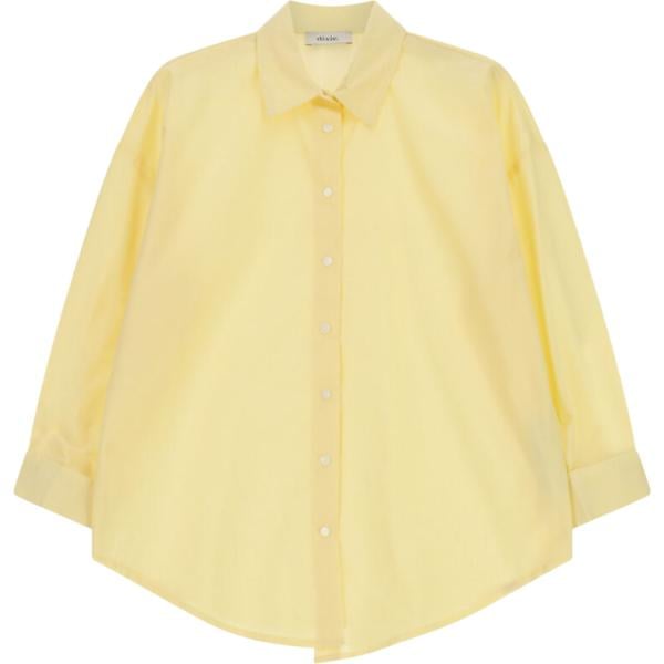 camicie Dixie giallo tinta unita