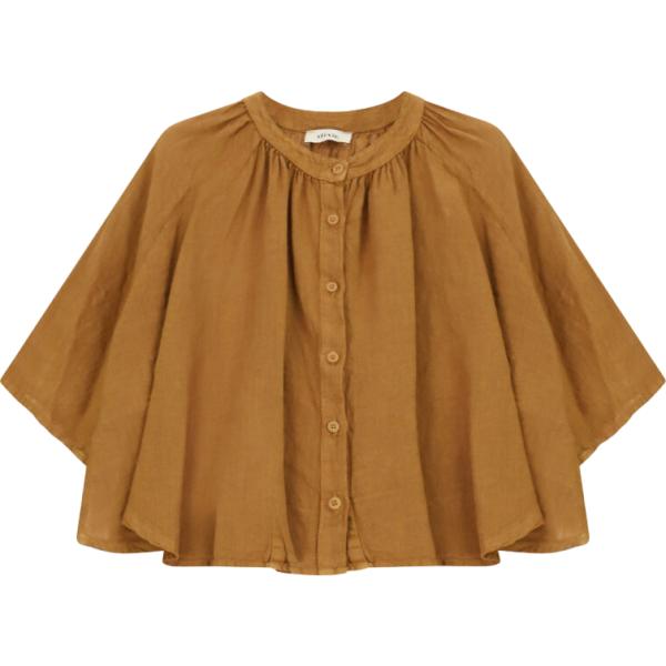 camicie Dixie marrone