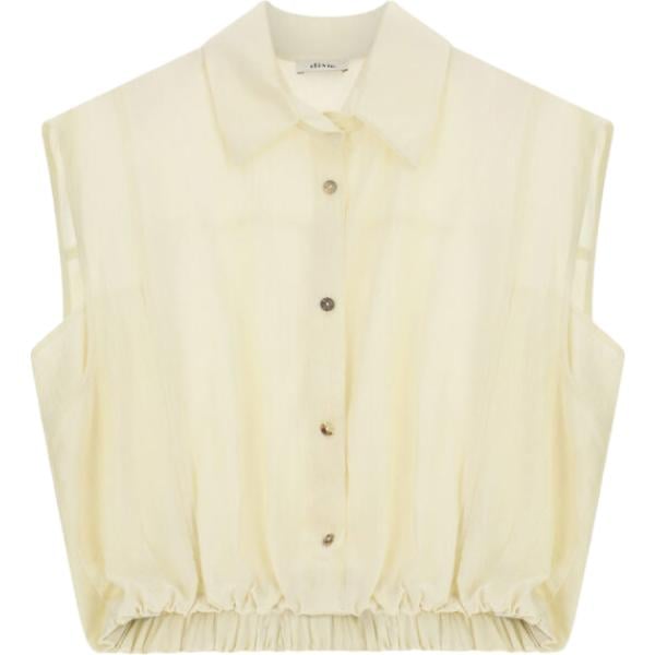 camicie Dixie marrone