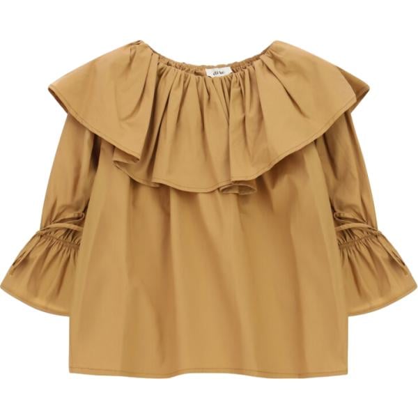camicie Dixie marrone