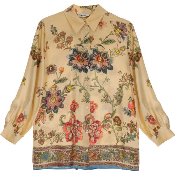camicie Dixie marrone