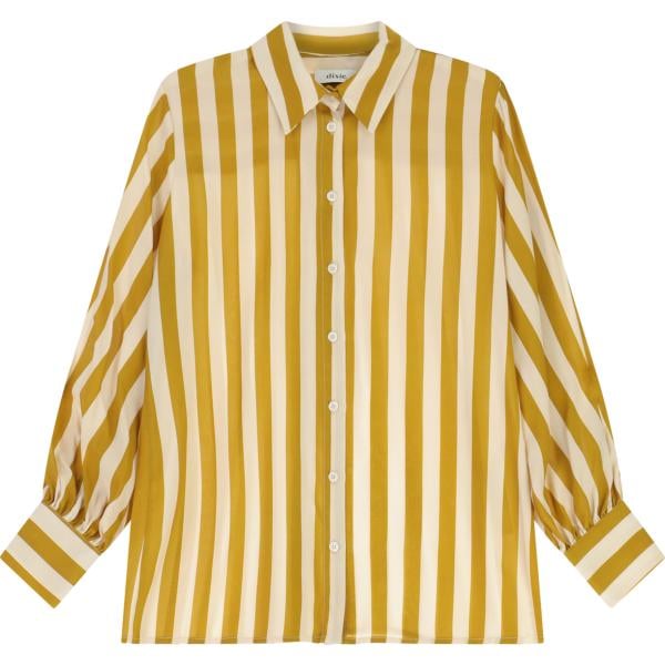 camicie Dixie multicolore a righe