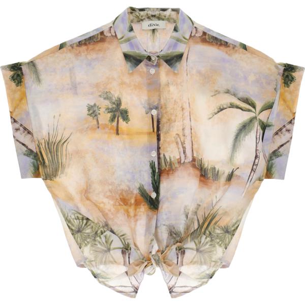 camicie a manica corta Dixie marrone