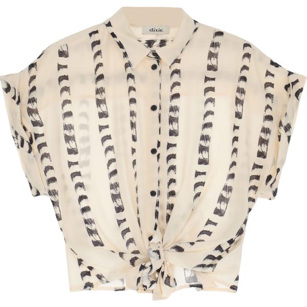 camicie Dixie marrone