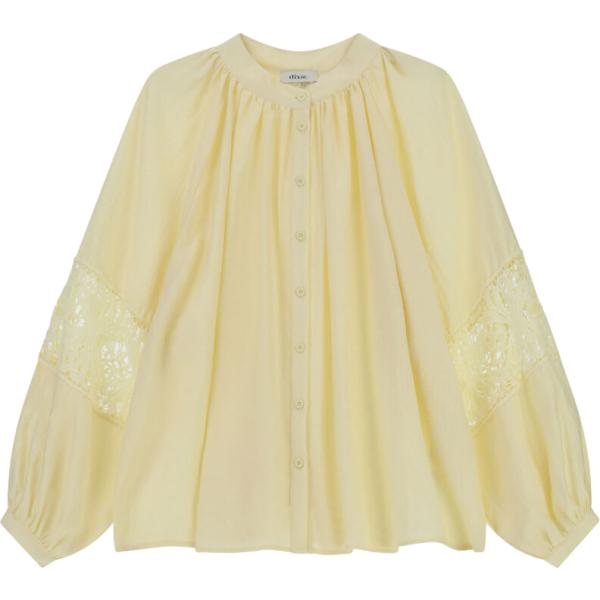 camicie Dixie marrone