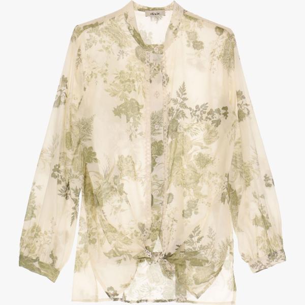 camicie Dixie marrone