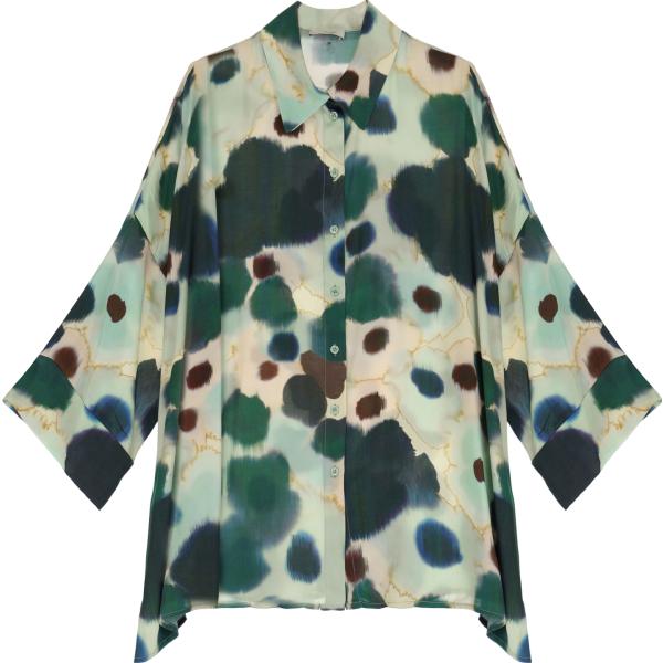 camicie Dixie multicolore