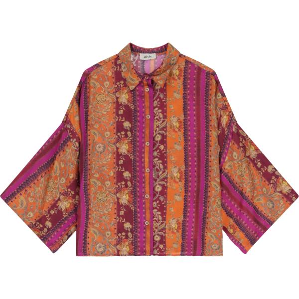 camicie Dixie marrone