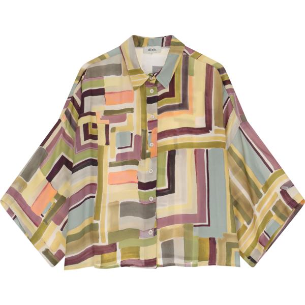 camicie Dixie marrone