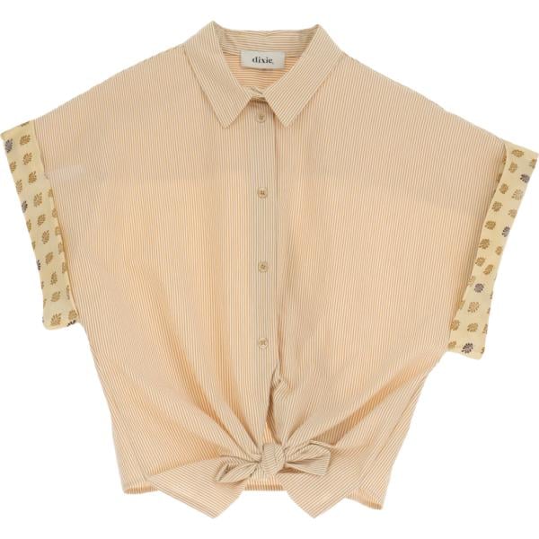 camicie Dixie marrone