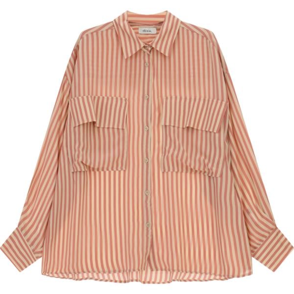 camicie Dixie marrone a righe