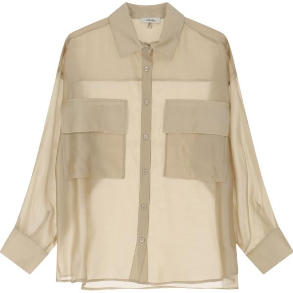 camicie Dixie marrone