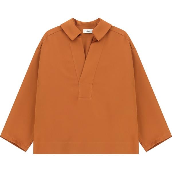camicie Dixie marrone