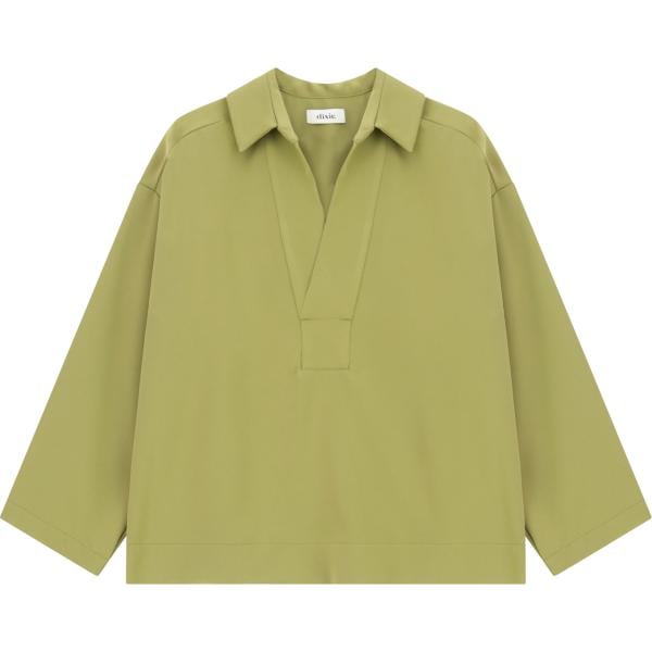 camicie Dixie verde
