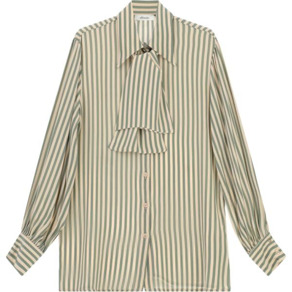 camicie Dixie marrone a righe