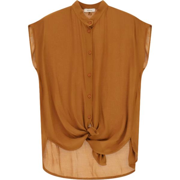 camicie Dixie marrone