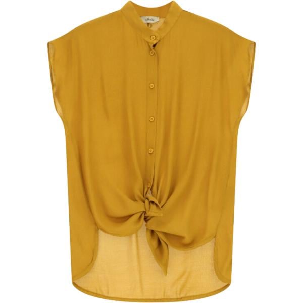 camicie Dixie marrone