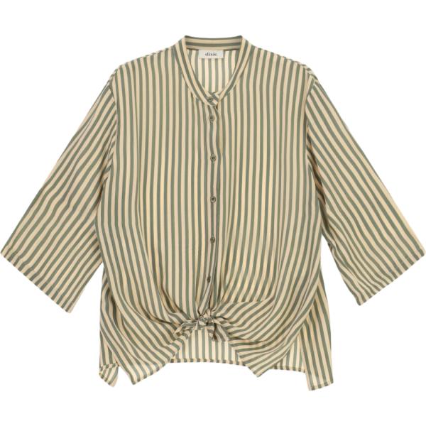 camicie Dixie verde a righe