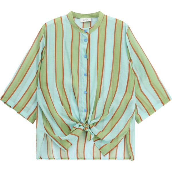 camicie Dixie blu a righe